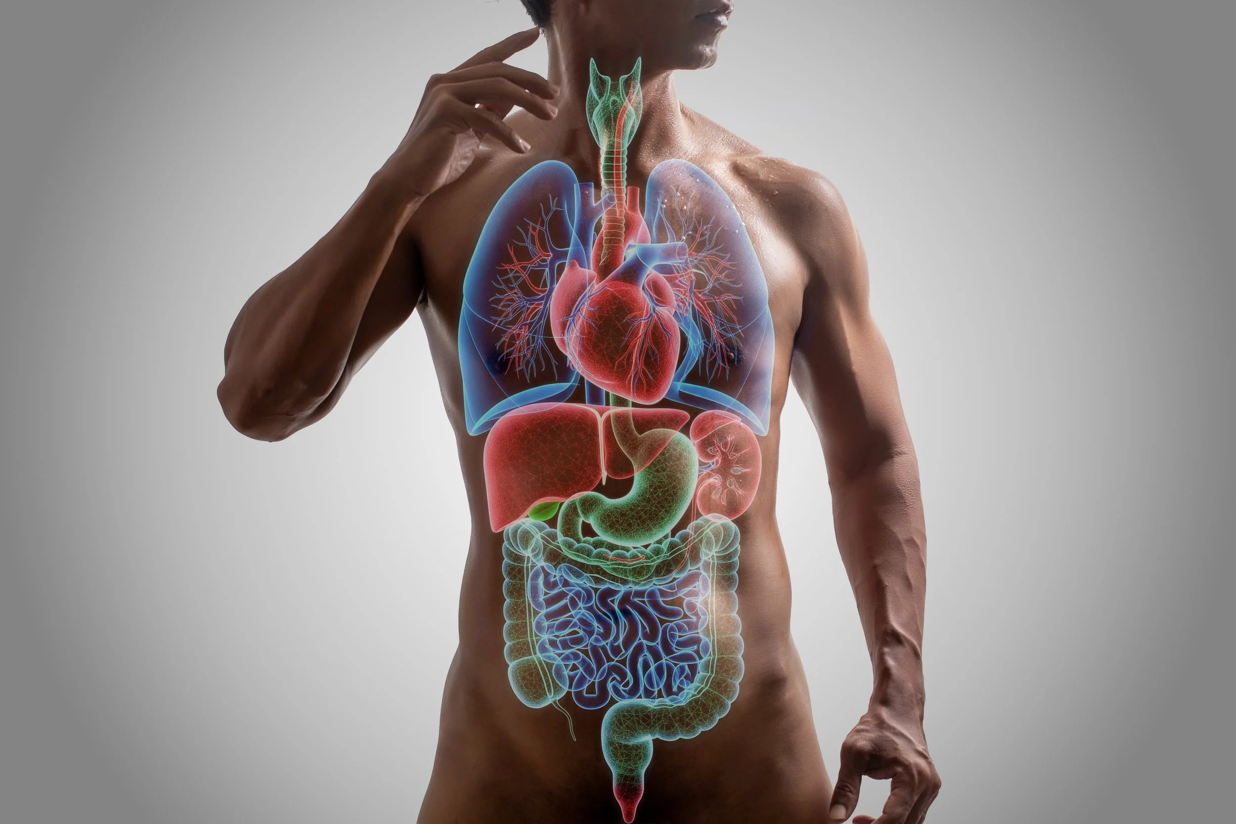 What Is Functional Medicine—and What Does It Actually Look Like in Practice?