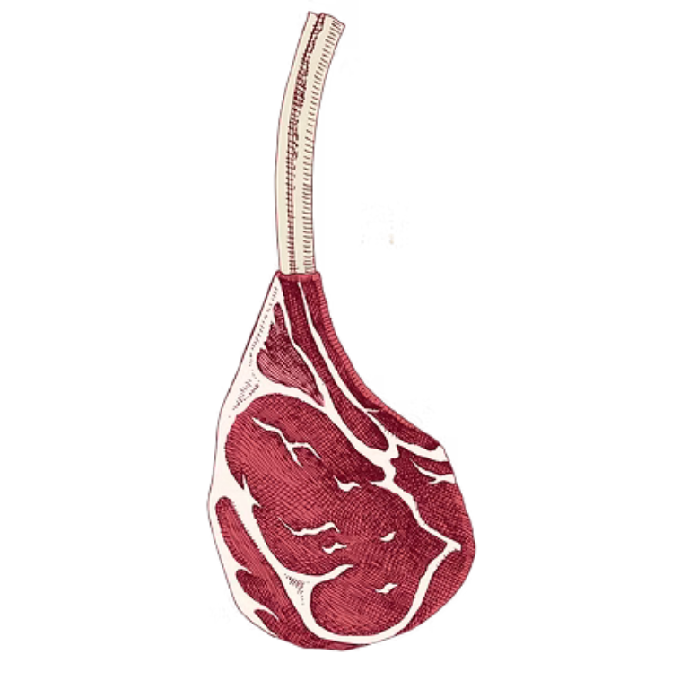 A diagram of a beef steak cut showing the muscle, fat, and connective tissue.