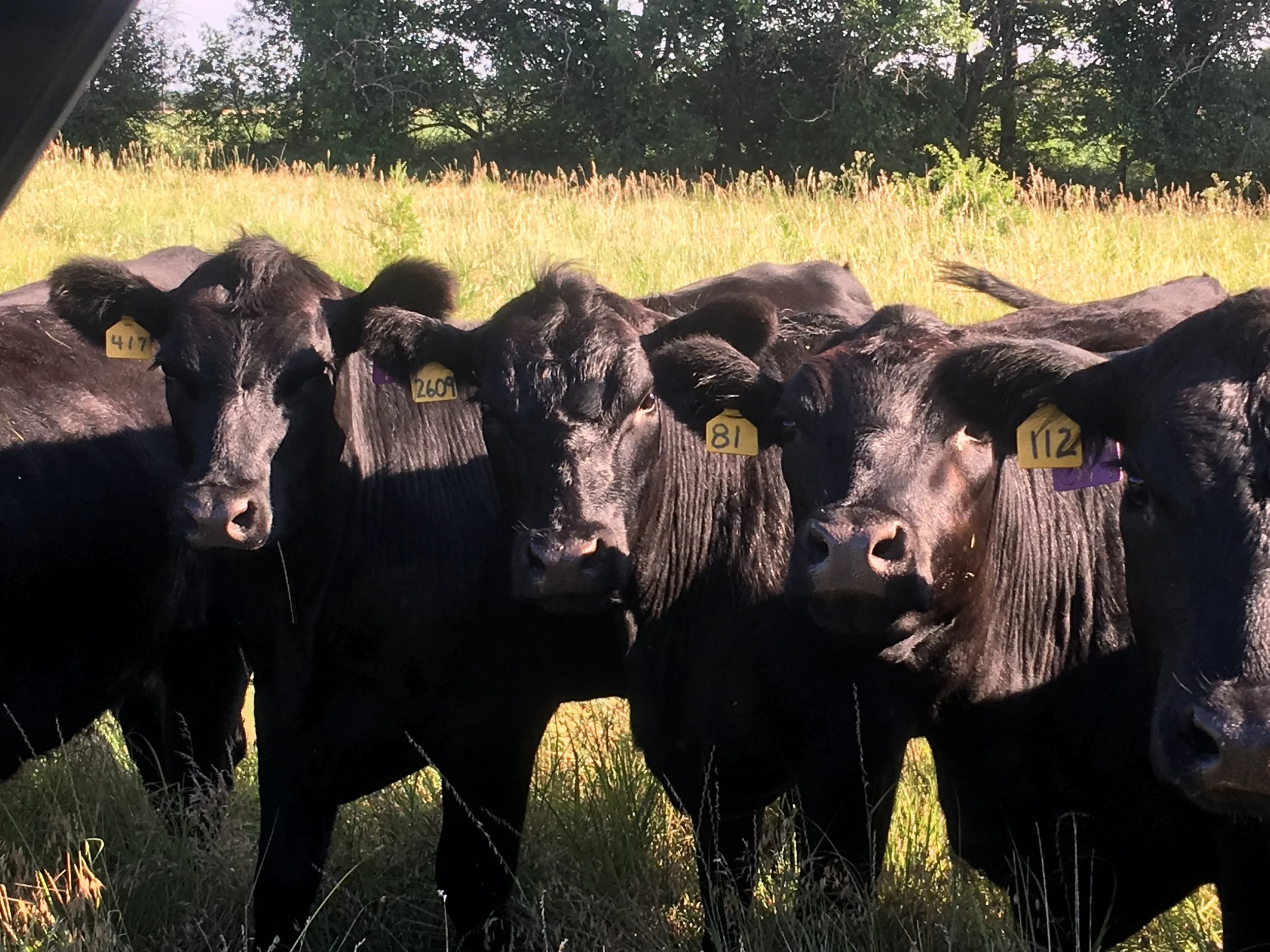 Our Family, Our Ranch