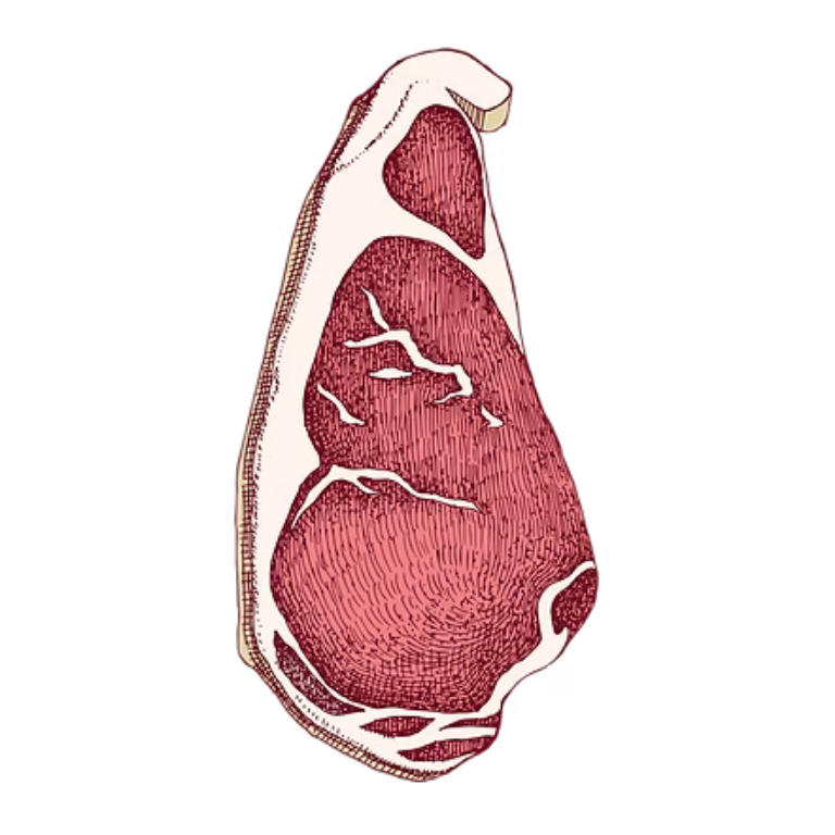 Cross-section of a beef cut showing muscle, fat, and connective tissue