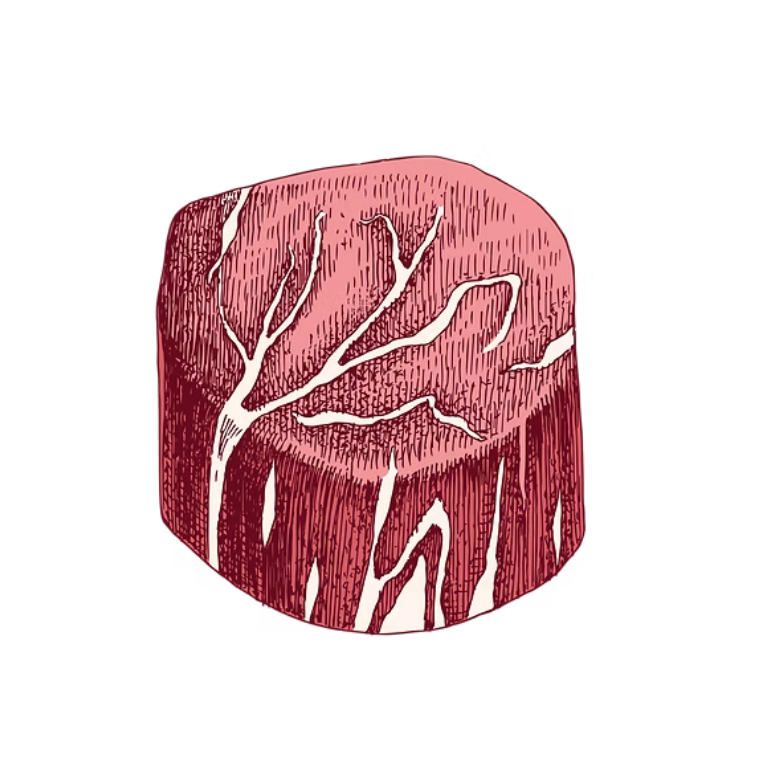 A cross-section illustration of a tree trunk showing growth rings and inner bark.