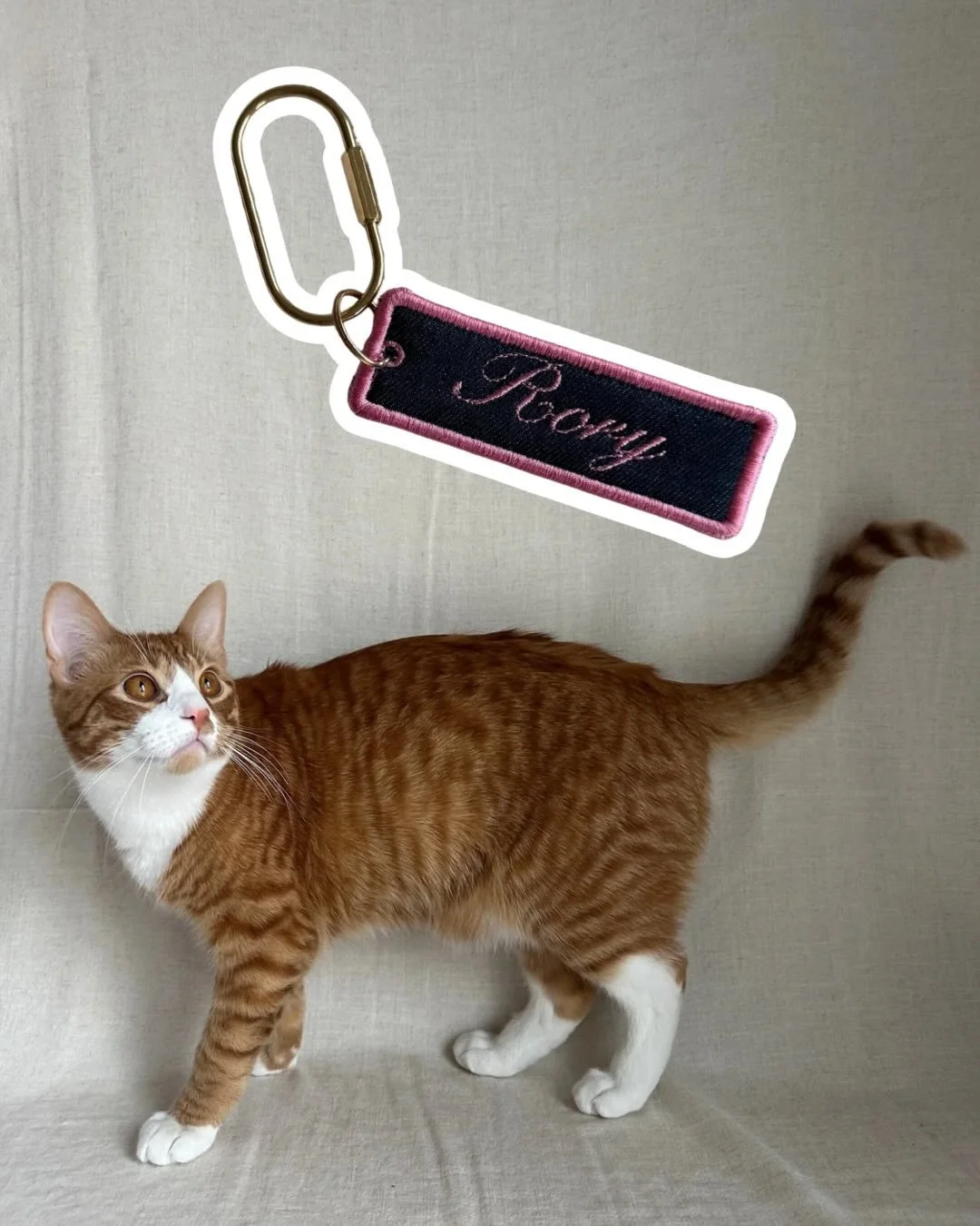 charms are for our four legged family members too 🥹

#custombagcharms #petlovers #petkeychains #bagtags #petparents