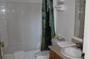 Bathroom with bathtub, shower curtain, toilet, and sink with mirror
