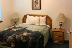 A bedroom with a wooden bed frame, white pillows, a blanket with a bear pattern, and two nightstands with lamps.