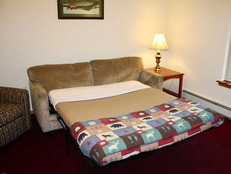 A sofa with a deployed fold-out bed in a living room, a side table with a lamp, framed picture on the wall, window with blinds, and burgundy carpet.