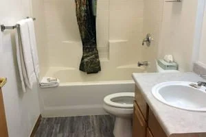 Bathroom with a bathtub, shower curtain, toilet, and sink with a wooden cabinet.