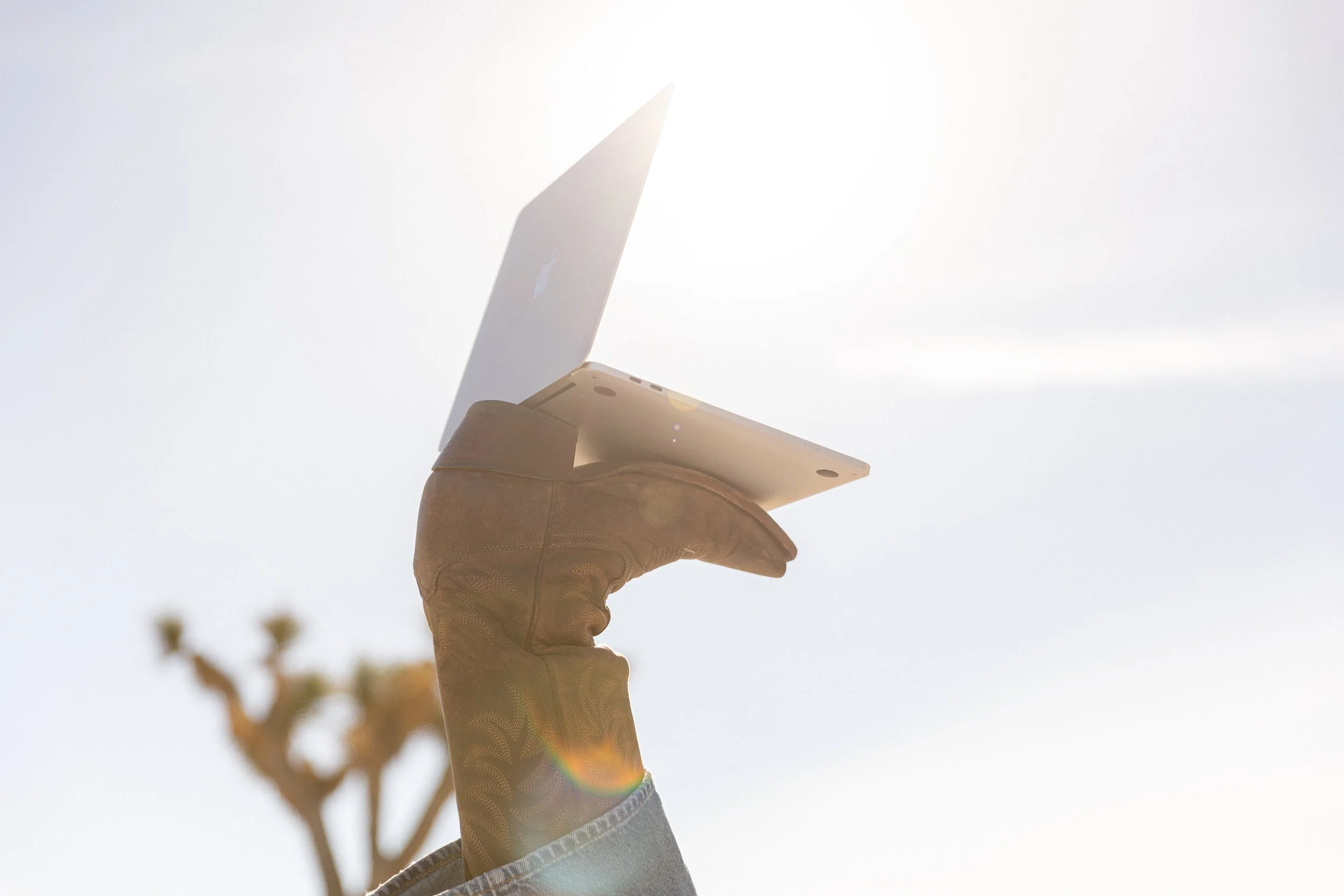 Brand Work + Case Studies