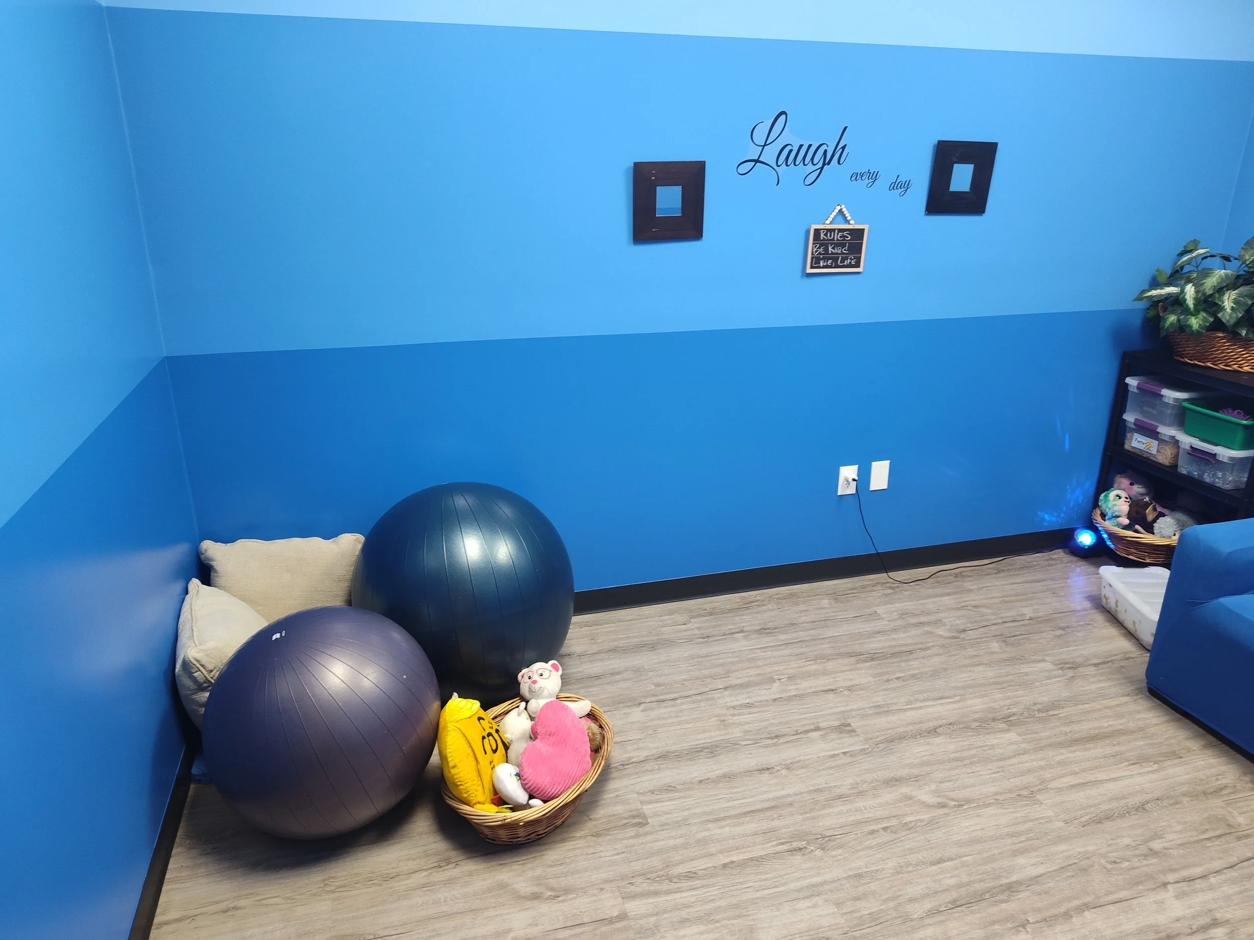 A corner of a room painted in two shades of blue with decorative items on the wall that say 'Laugh every day' and a chalkboard with rules. There are two exercise balls, a basket with plush toys, a pillow, a plant on a shelf.