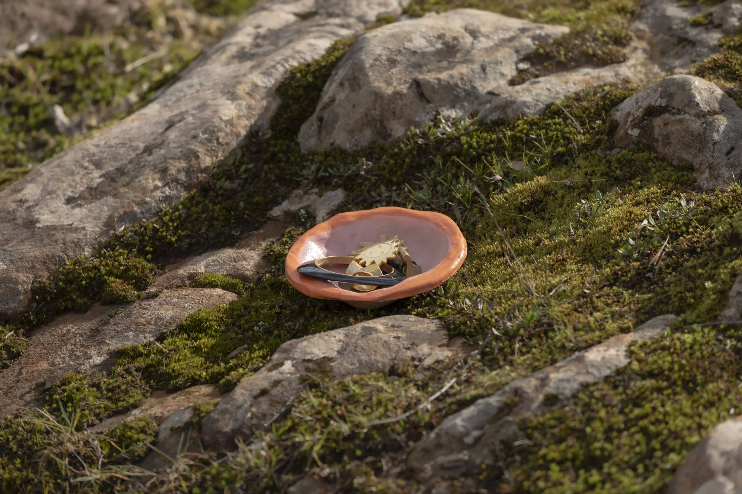 Hand-built, Sculptural 'Shell & Seed' ceramic Bowl - where the forest meets the sea. By Miriam McWilliam of Slow Rise Ceramics.