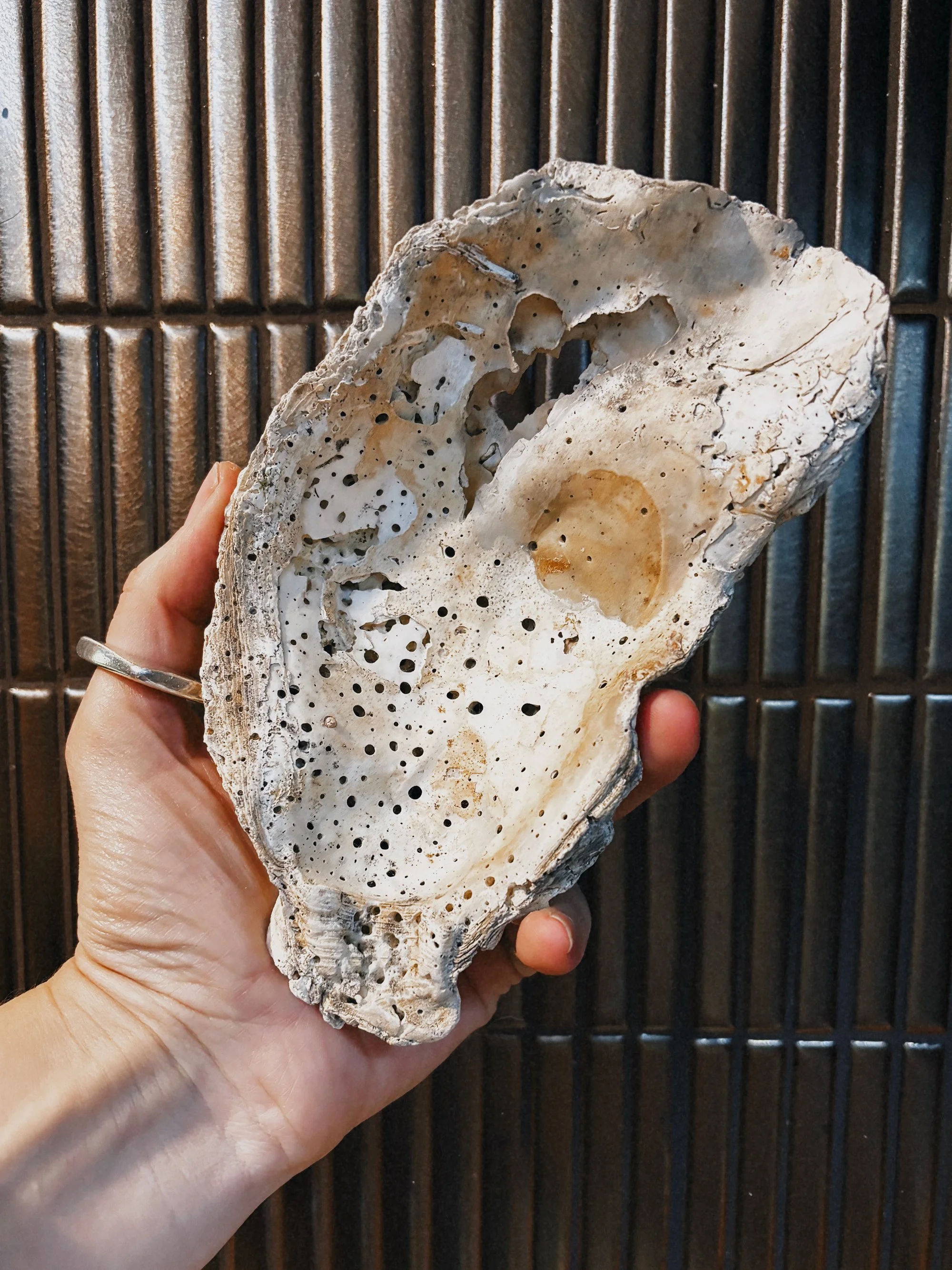 'Oyster Lover' Spoon Rest / Wall Artwork by Miriam McWilliam of Slow Rise Ceramics.