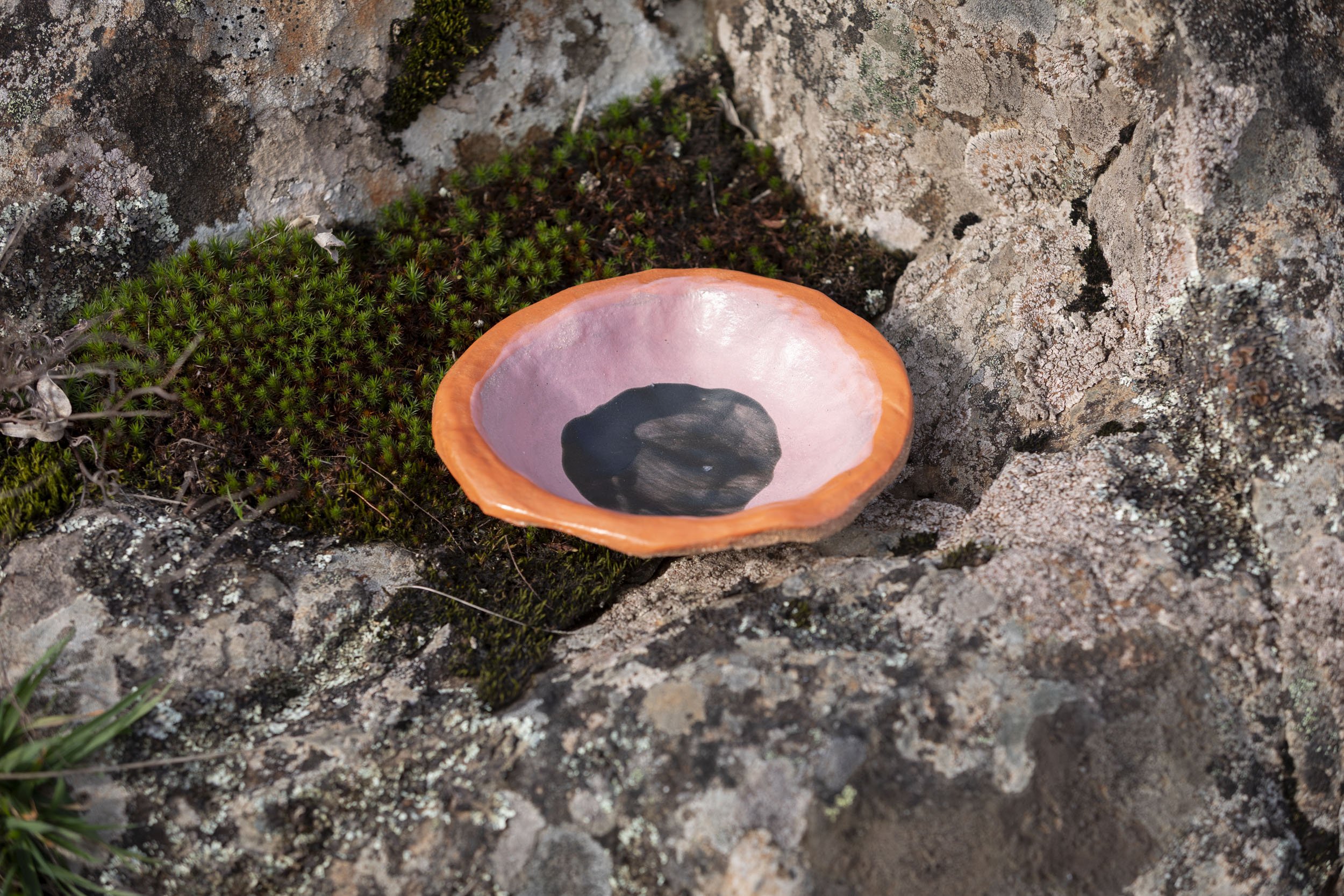 Blackwood Seed Pod Bowl