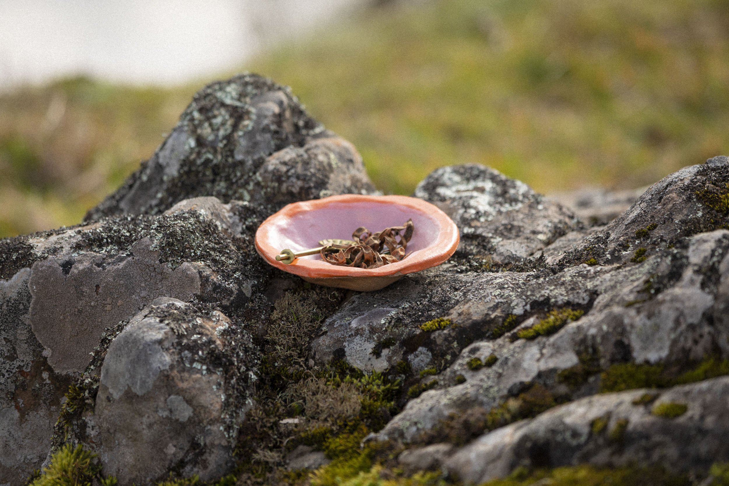 Hand-built, Sculptural 'Shell & Seed' ceramic Bowl - where the forest meets the sea. By Miriam McWilliam of Slow Rise Ceramics.