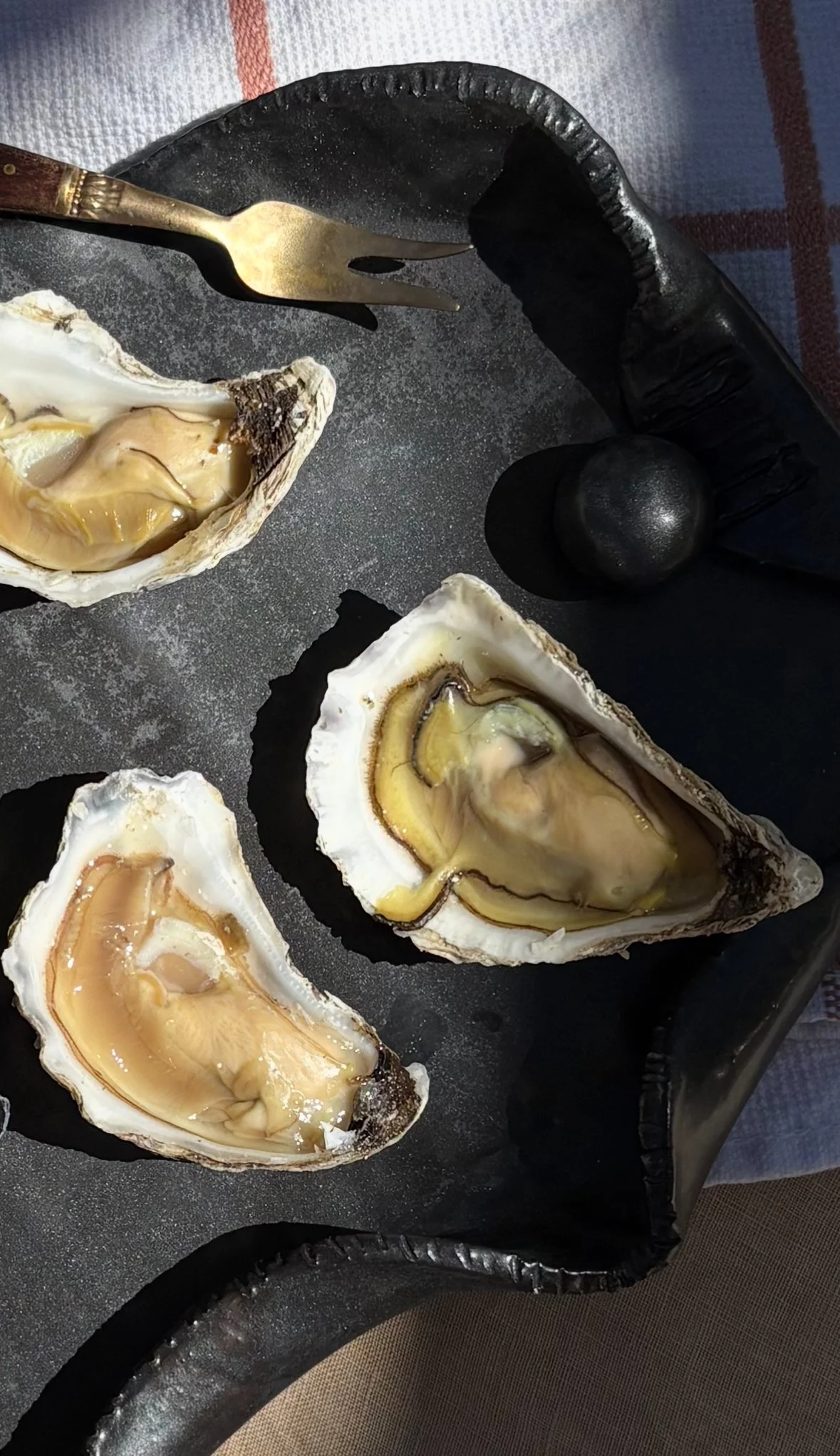 Slow-Rise-Ceramics-Noir-Pearl-Oyster-Plate-5.jpg