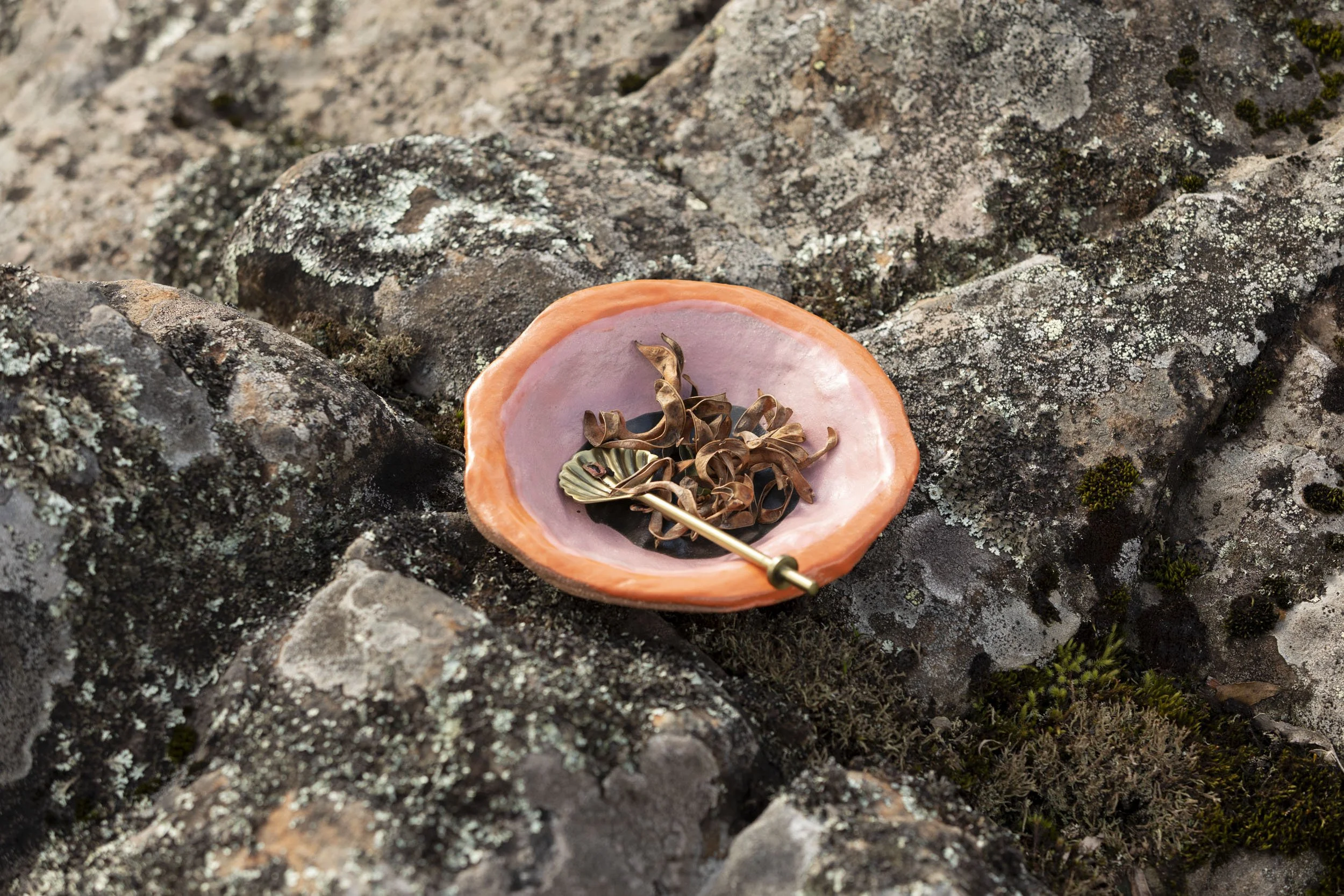 Hand-built, Sculptural 'Shell & Seed' ceramic Bowl - where the forest meets the sea. By Miriam McWilliam of Slow Rise Ceramics.