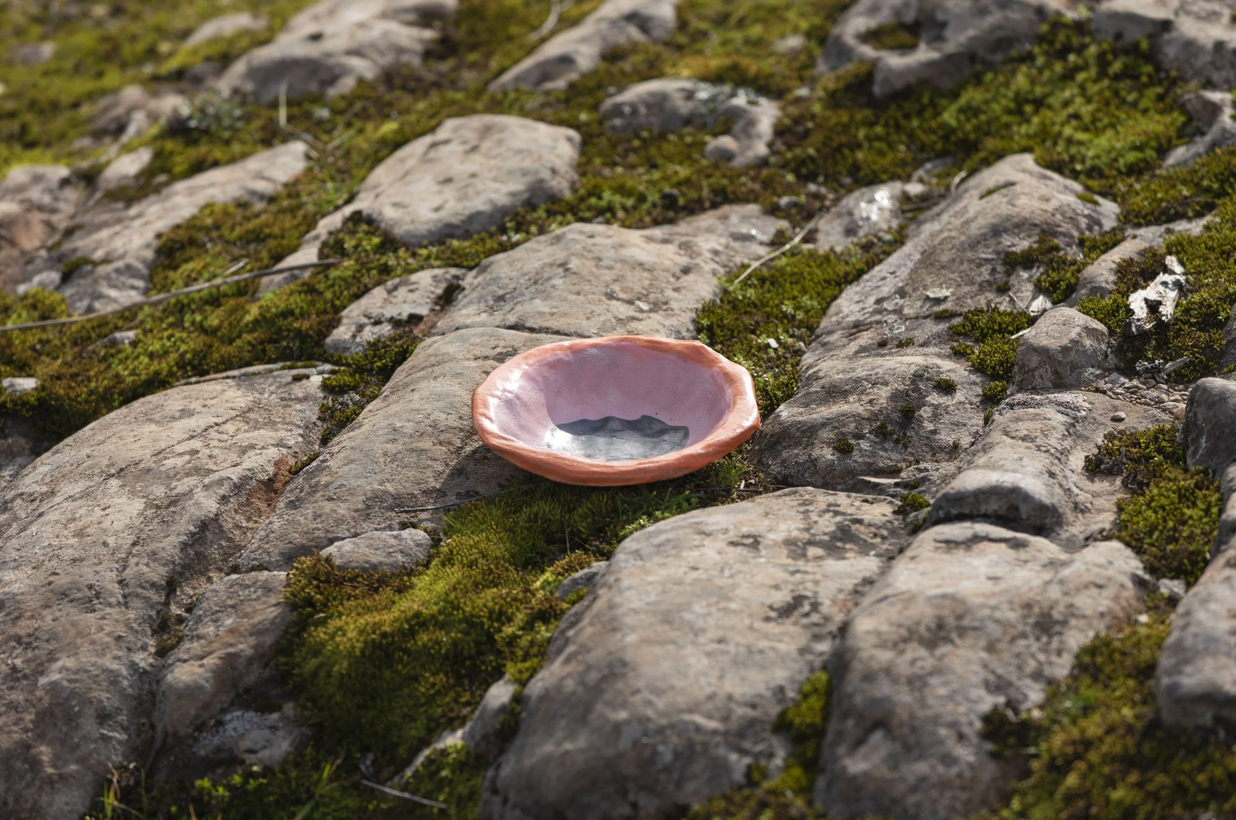 Hand-built, Sculptural 'Shell & Seed' ceramic Bowl - where the forest meets the sea. By Miriam McWilliam of Slow Rise Ceramics.