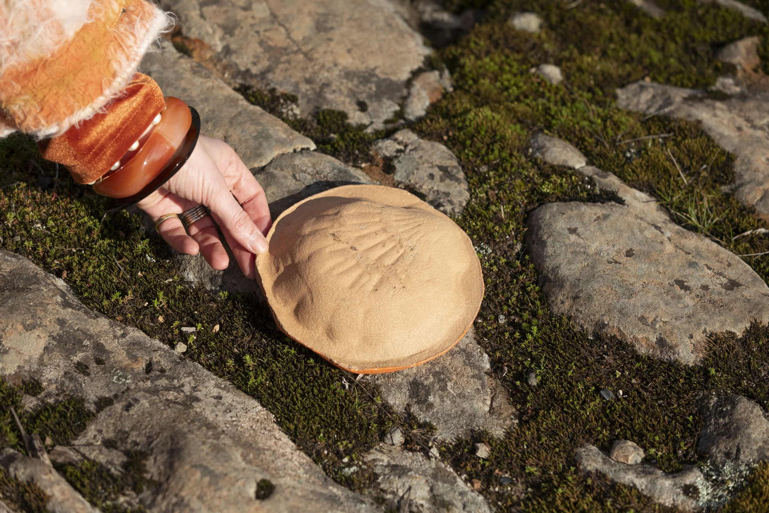 Hand-built, Sculptural 'Shell & Seed' ceramic Bowl - where the forest meets the sea. By Miriam McWilliam of Slow Rise Ceramics.