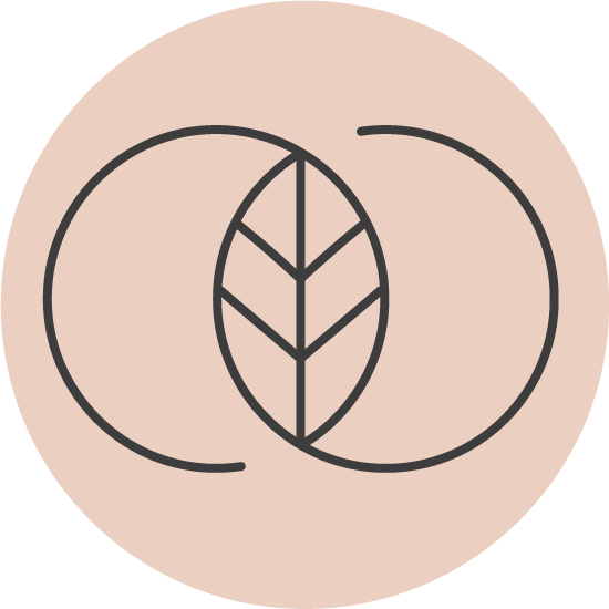 Minimalist illustration of a leaf with central veins, surrounded by two curved lines, on a pale pink background.