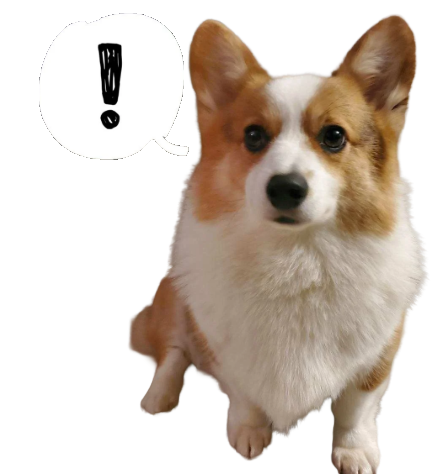 A cute dog with brown and white fur, looking at the camera with its mouth closed, and a speech bubble containing an exclamation mark next to its head.