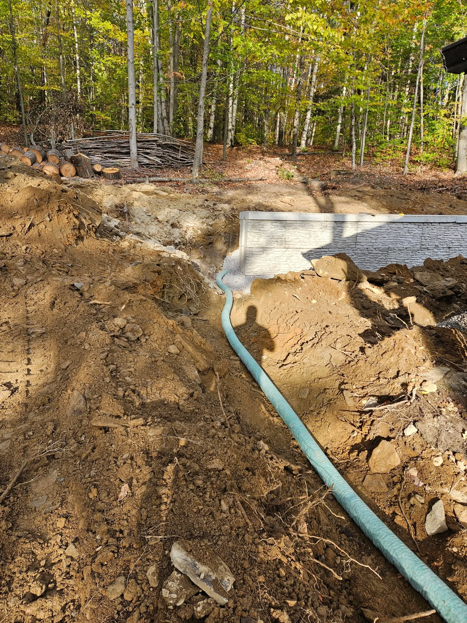 IMG_20260306_193051.jpg