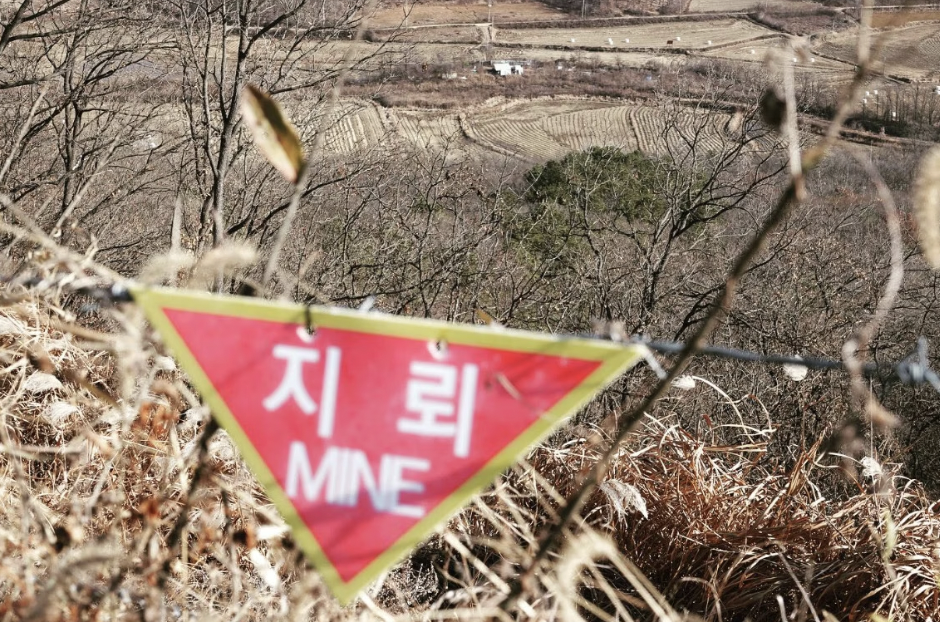 Living under threat - lessons from South Korea