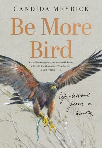 be more bird.jpg