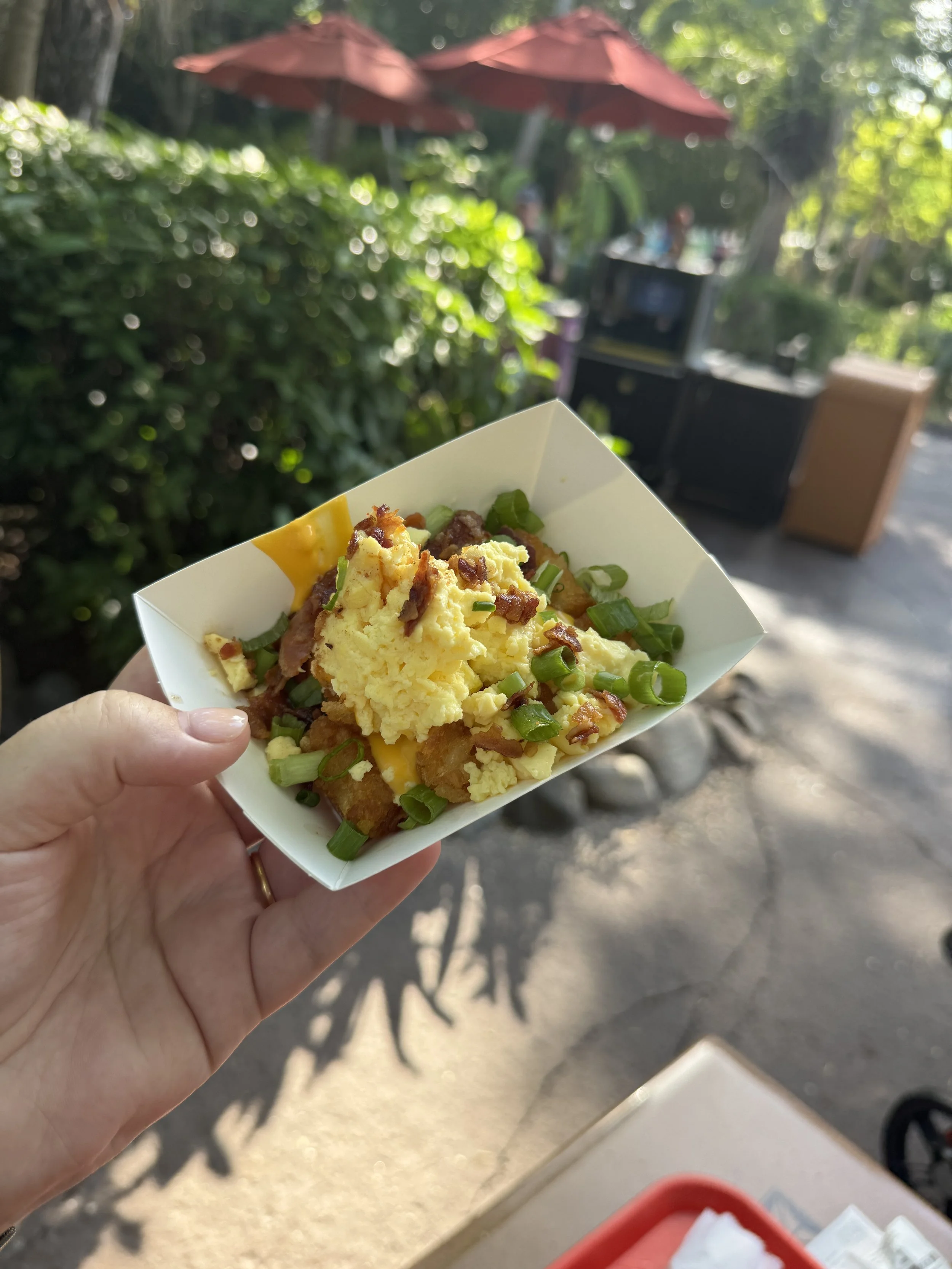 A hand holding a paper food tray with scrambled eggs, bacon, potatoes, and chopped green onions outdoors with red umbrellas and people in the background.