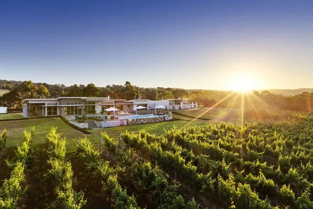Vineyard Luxury Acreage