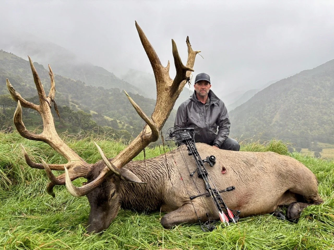 A man kneeling next to a large, dead elk with extensive antlers in a grassy field with mountains and misty sky in the background.