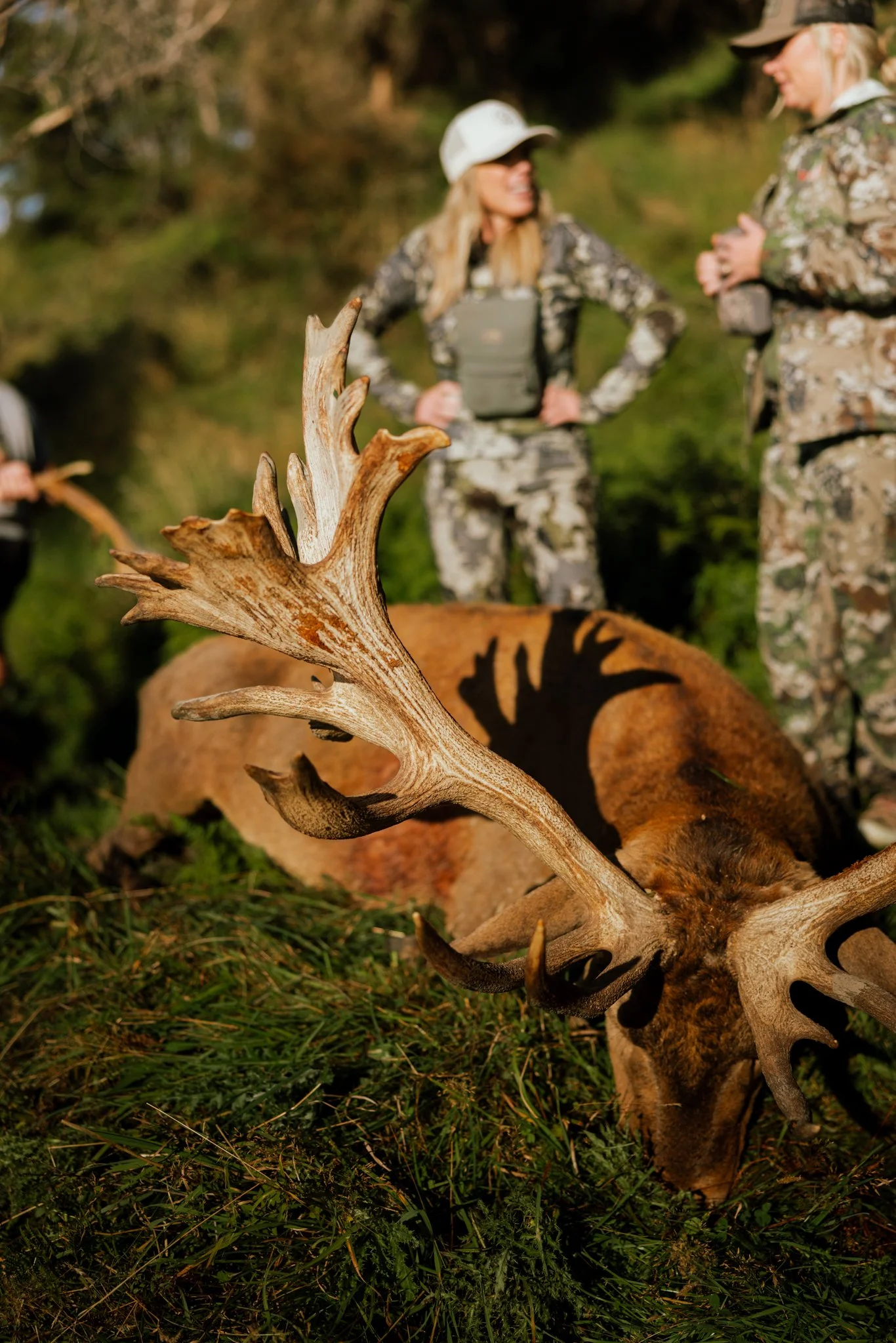 Deer carcass with antlers on grass, two women in camouflage clothing and hats talking in the background.