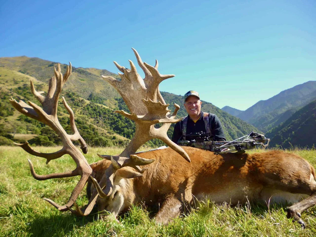 A person smiling next to a large elk with impressive antlers, in a grassy mountain valley under a clear blue sky.