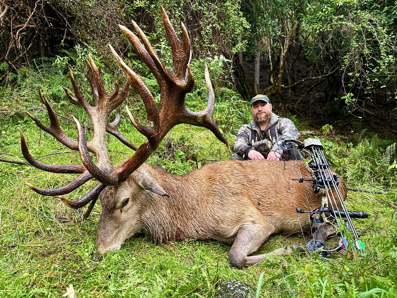 A hunter sitting next to a large elk with impressive antlers in a green forested area after a successful hunt.