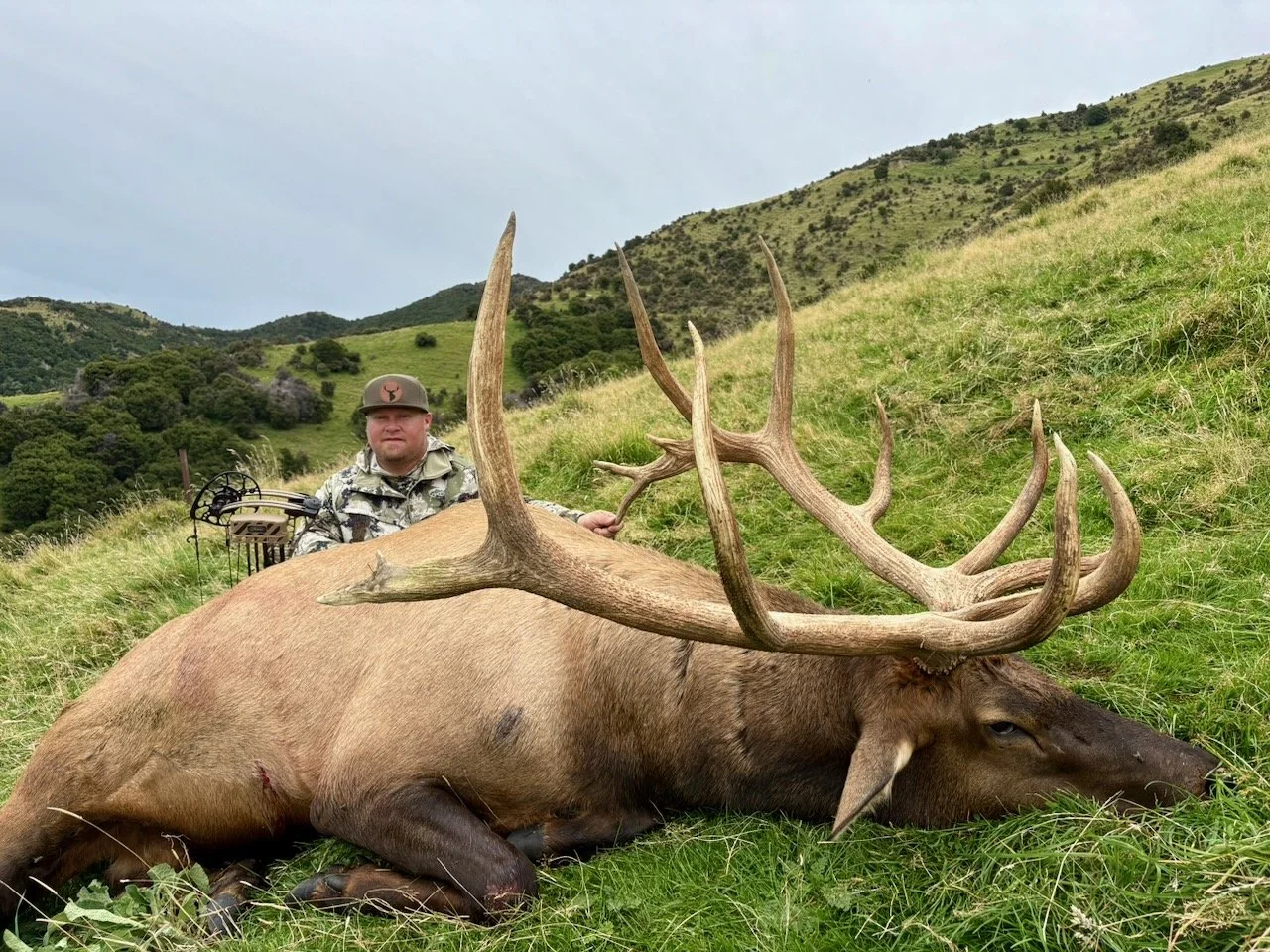 Hunter in camouflage next to a large, dead elk with prominent antlers lying on a grassy hillside with hills and trees in the background.