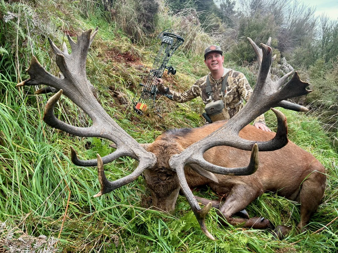 A man in camouflage gear kneeling next to a large elk with impressive antlers, holding a bow, in a green, grassy outdoor setting.