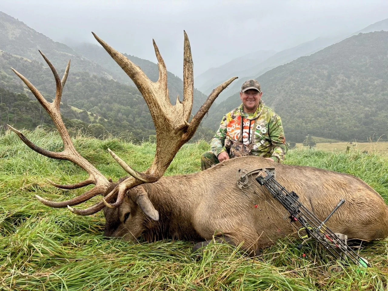 A man in camouflage clothes kneels next to a large dead elk with big antlers, lying in a grassy field with mountains in the background. The man is smiling and holding a bow with arrows on the elk's side.
