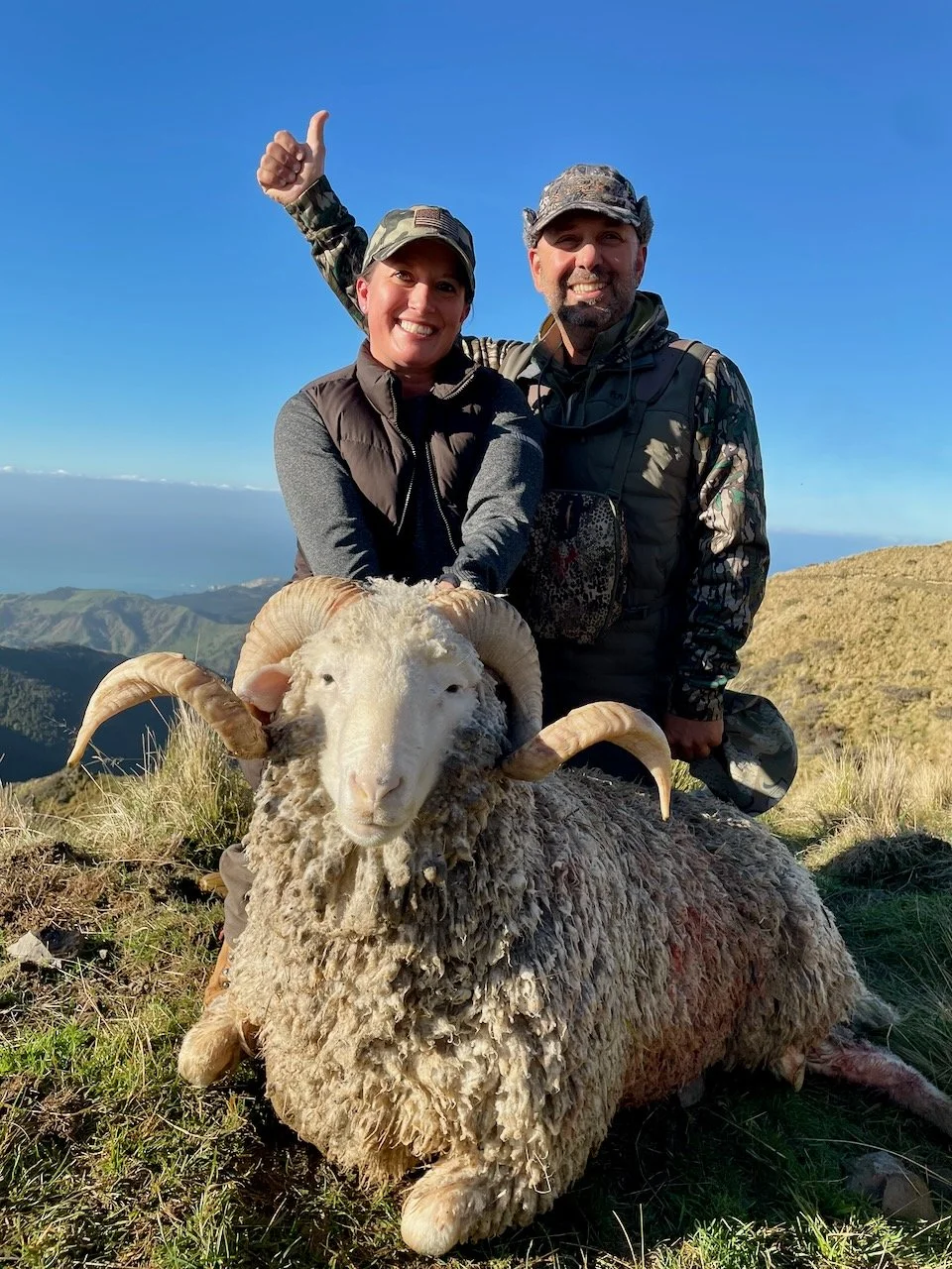 Two hunters, a woman and a man, are smiling and posing with a large, freshly hunted ram with curved horns, on a grassy mountain landscape with clear blue sky.