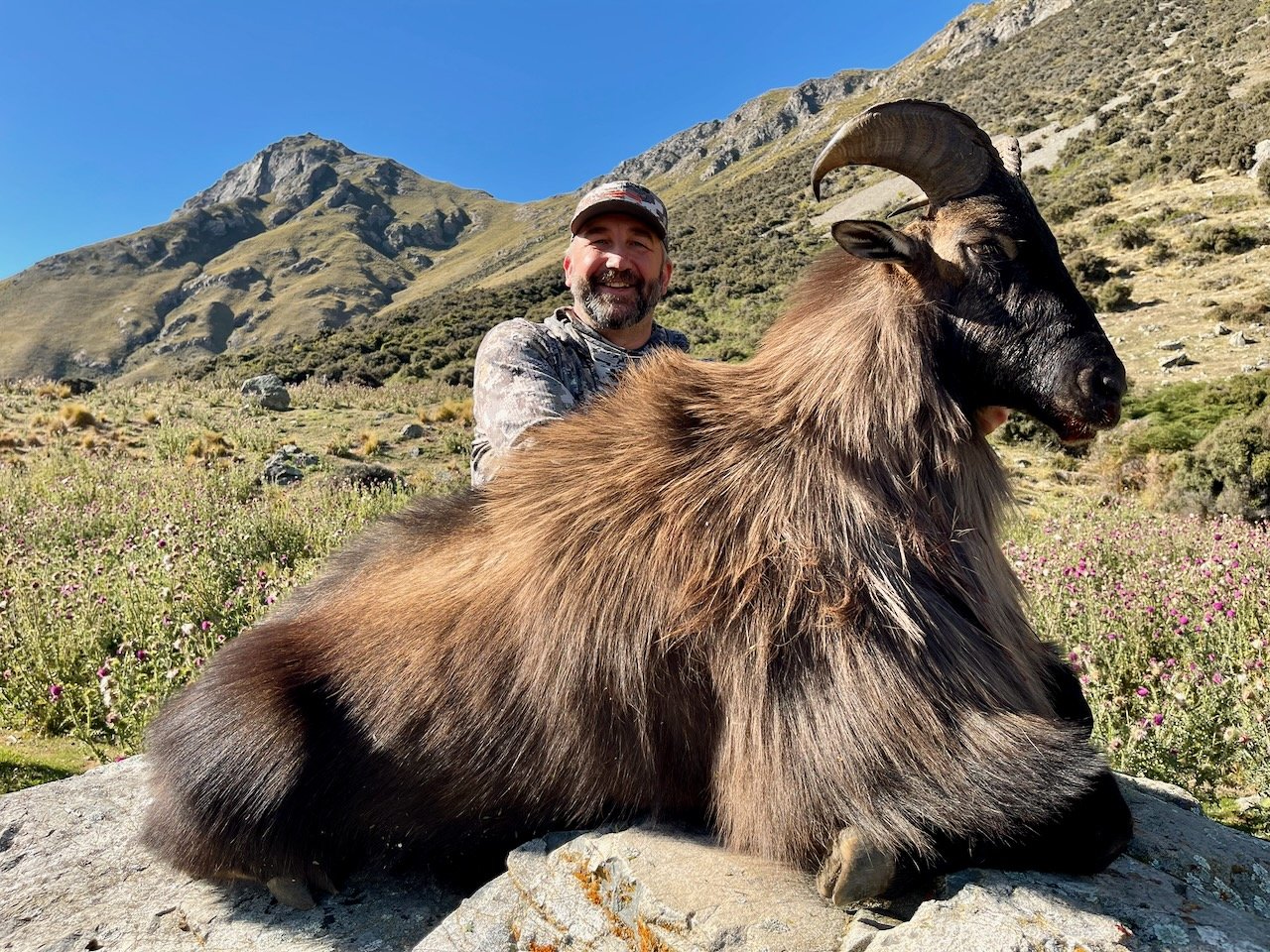 A man smiling in camouflage clothing and a cap poses behind a large, brown mountain goat with curved horns, lying on a rock in a mountainous landscape with green hills, rocky peaks, and wildflowers, under a clear blue sky.