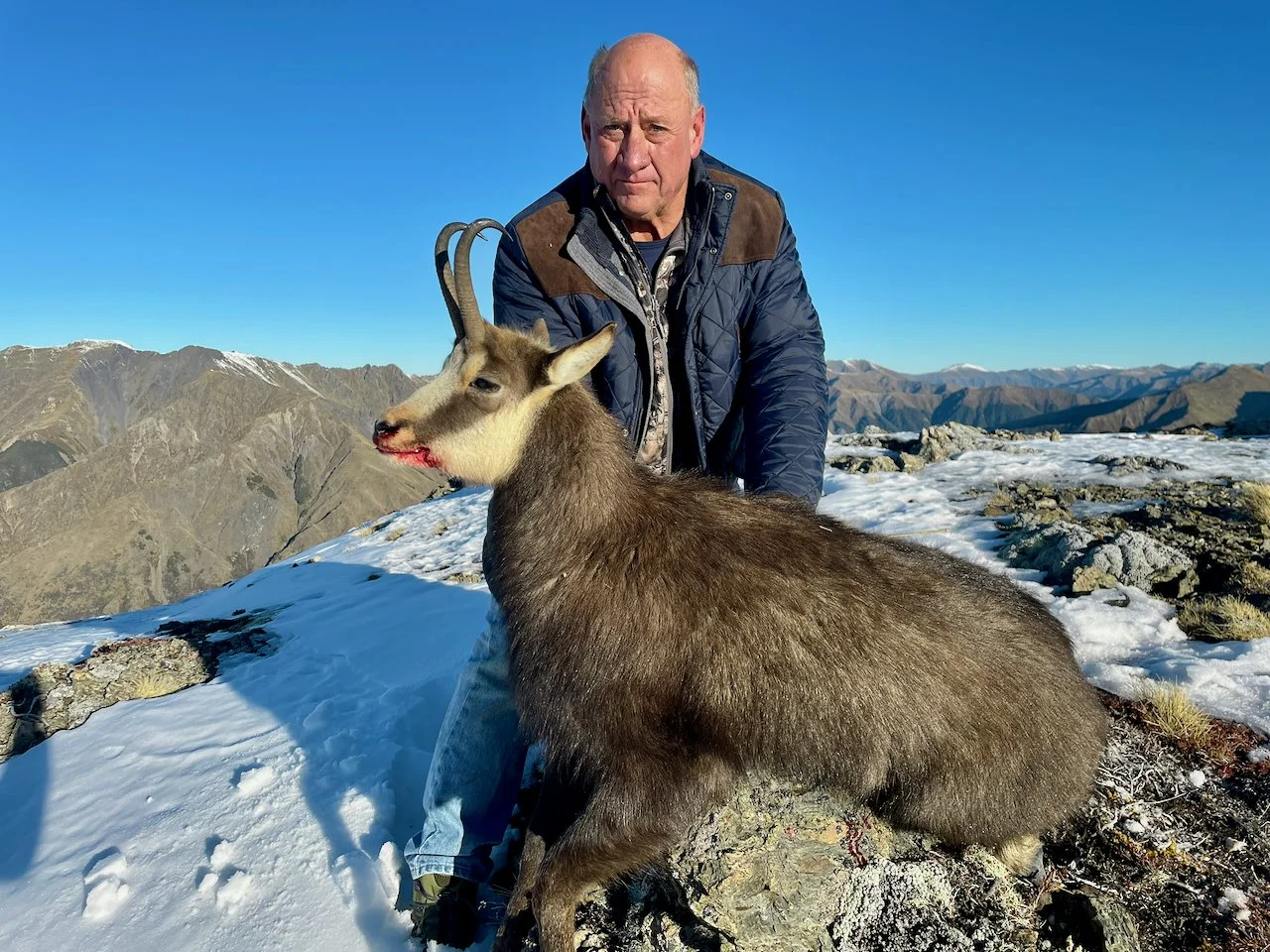 An older man in a blue jacket kneels on snow-covered ground in a mountainous area, positing with a dead goat with small horns.