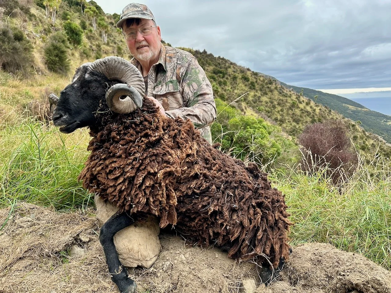 A man in camouflage clothing and a cap kneeling outdoors with a dead sheep with large curled horns, set against a hilly landscape with cloudy sky.