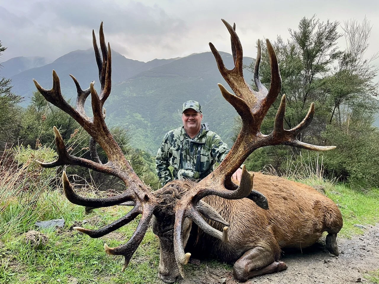 A man in camouflage clothing kneels behind a large, freshly hunted elk with massive antlers, in a grassy outdoor setting with trees and mountains in the background.