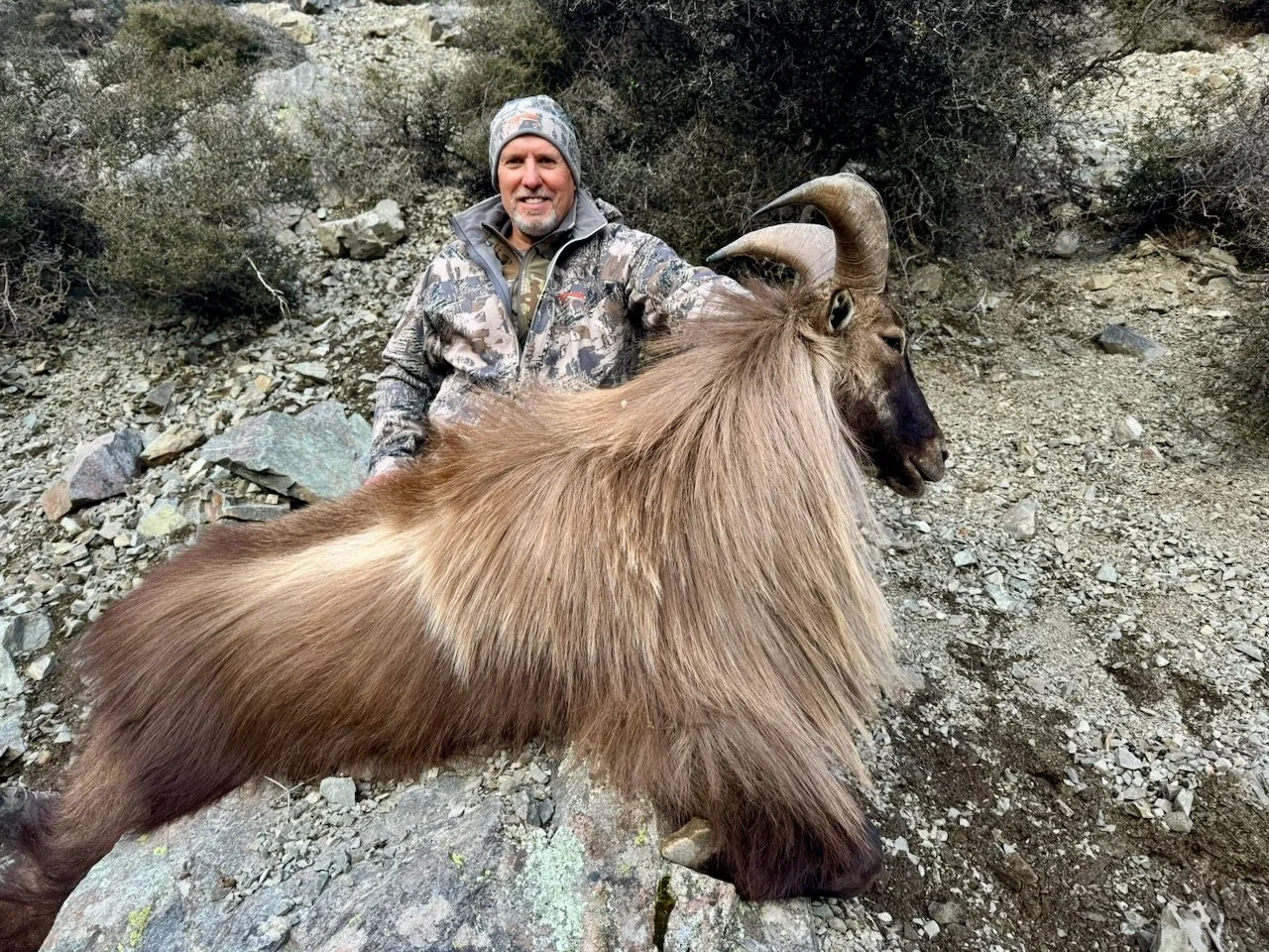 A man in camouflage clothing and a gray beanie kneels next to a large ibex with curved horns in a rocky, desert landscape.