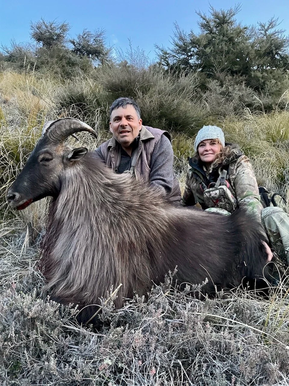 Two people sitting next to a large goat with curved horns in a grassy outdoor area with shrubs and trees in the background.