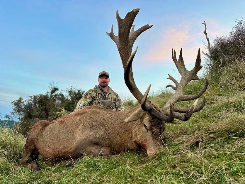 Man in camouflage clothing kneeling behind a large dead elk with impressive antlers on grassy terrain during daytime.