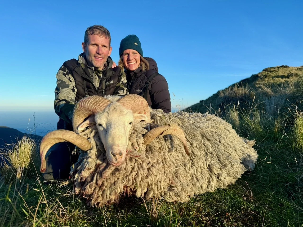 A couple with two children outdoors on a grassy hill during daylight, posing with a large, freshly sheared sheep with curved horns.