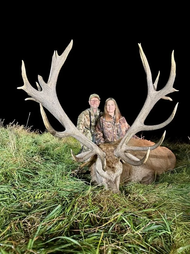 Two people in camouflage clothing standing behind a large elk with extensive antlers on grass at night.