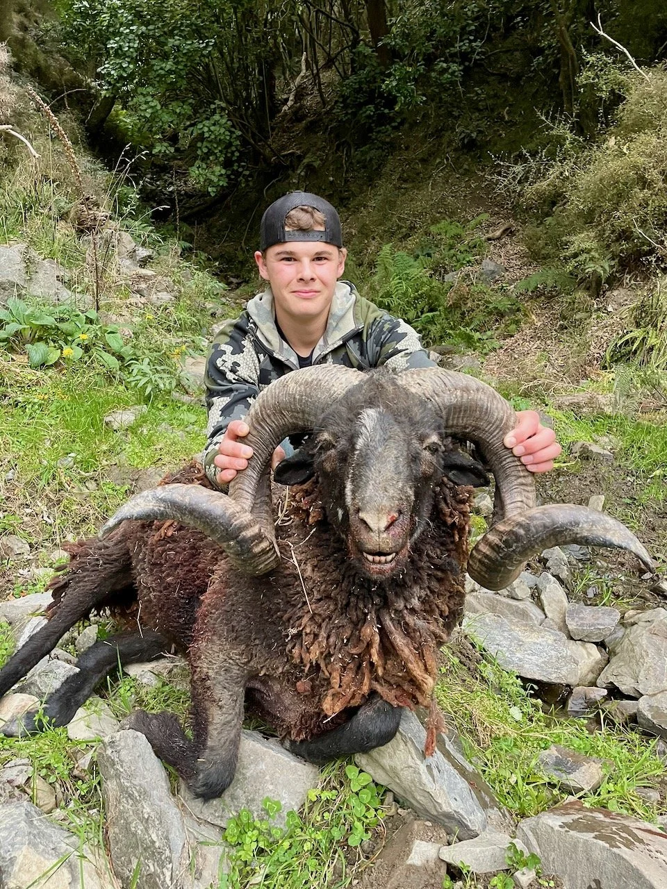 A young man in camouflage clothing and a backward black cap kneels on rocky ground in a forested area, holding a large ram with prominent curved horns. The ram has dark, curled horns and a thick, dark, matted coat. The background features green folia