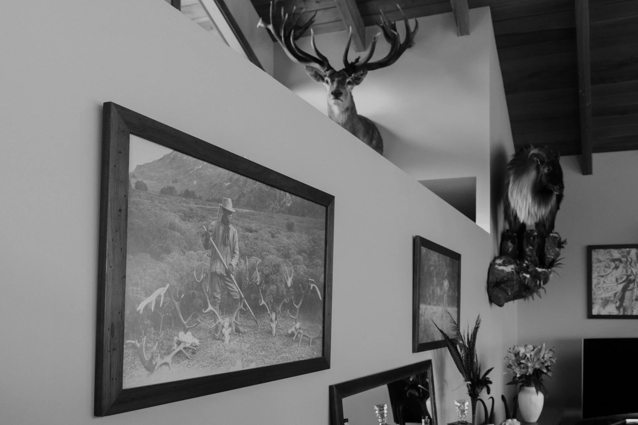 The image shows a corner of a room with walls decorated with framed paintings, a deer head mounted on the wall, and an animal fur rug on a stand. There is also a flower arrangement on a table.