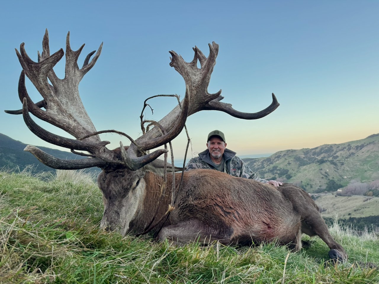 A man in camouflage clothing kneeling beside a large dead elk with prominent antlers, lying on a grassy hillside with rolling hills and a clear sky in the background.