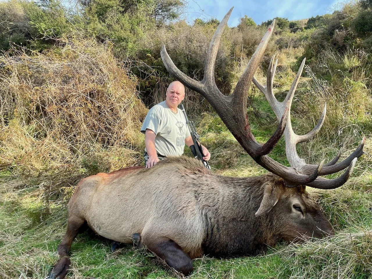 A man standing next to a large dead elk with big antlers, lying on the grass in a natural outdoor setting with bushes and trees in the background.