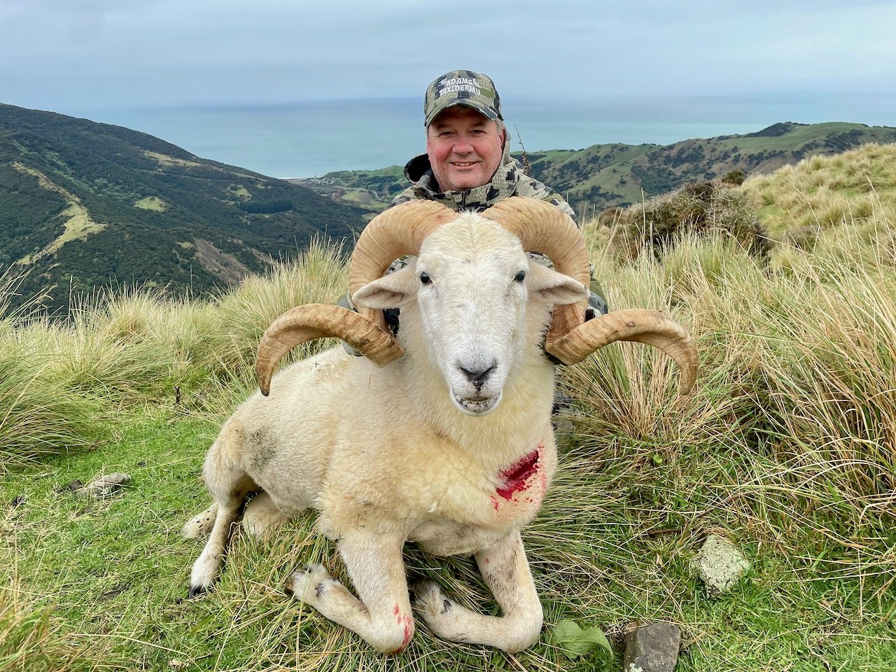A man in camouflage outdoor gear poses behind a ram with large curled horns on a grassy hillside with rolling hills and mountains in the background.