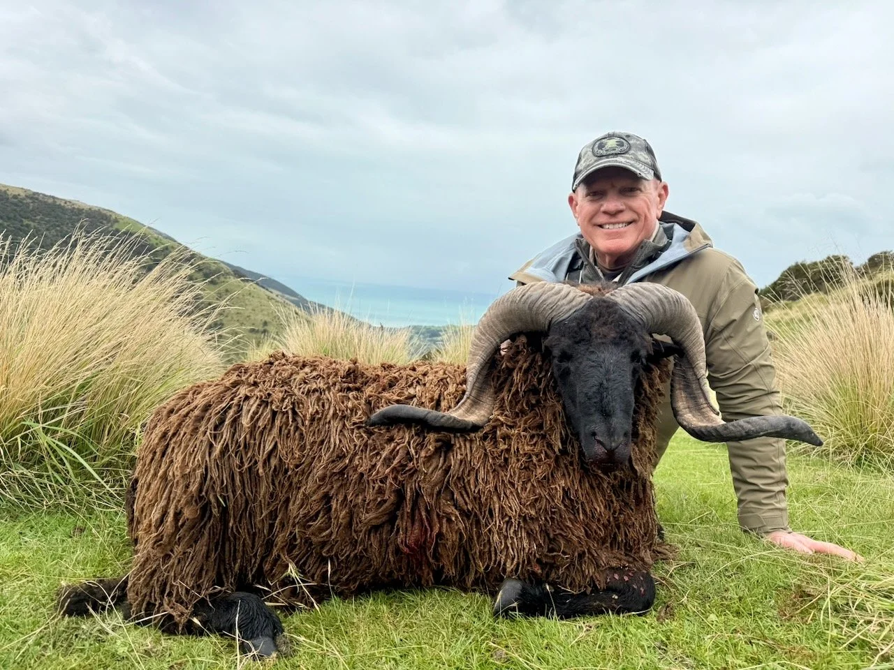 A man in outdoor gear kneels next to a large, brown, shaggy sheep with curved horns, in a grassy field with hills and cloudy sky in the background.